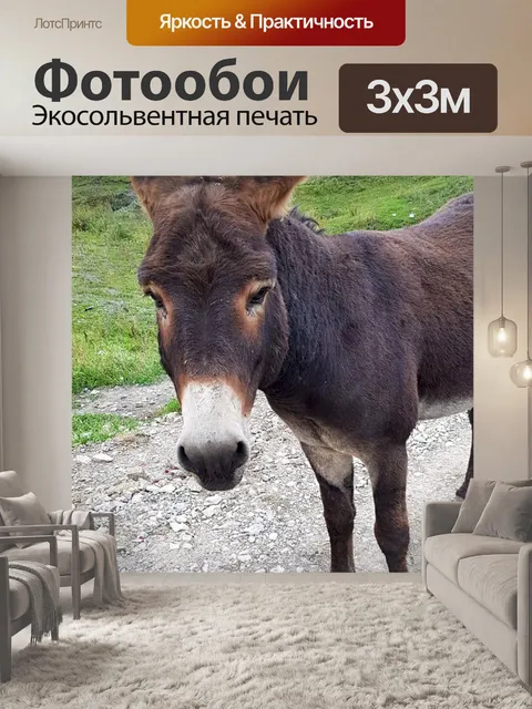 Фотообои Осел
