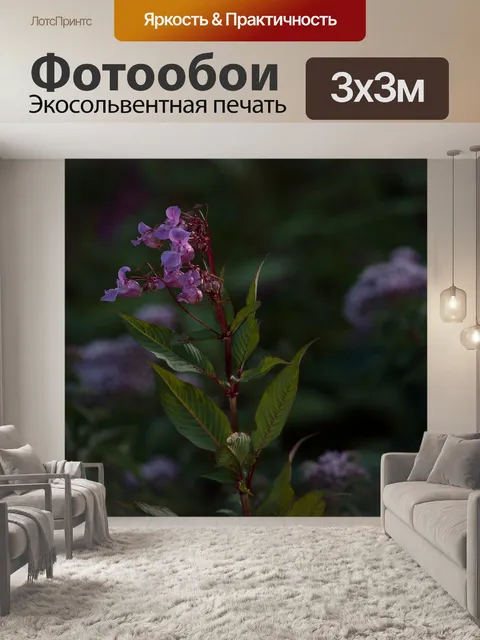 Фотообои Бальзам