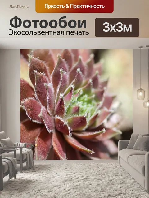 Фотообои Каменная роза