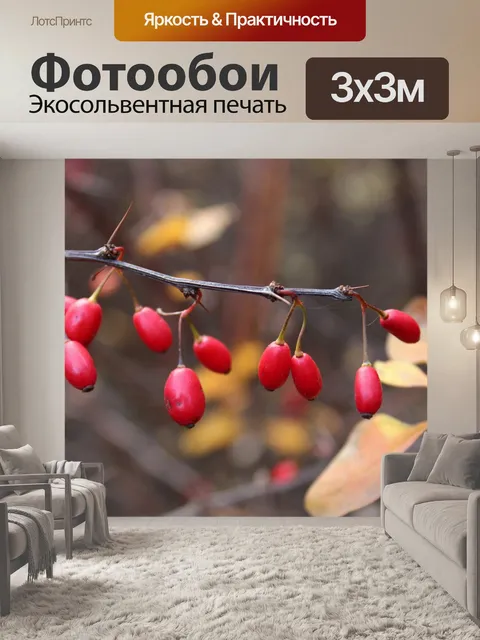 Фотообои Барбарис
