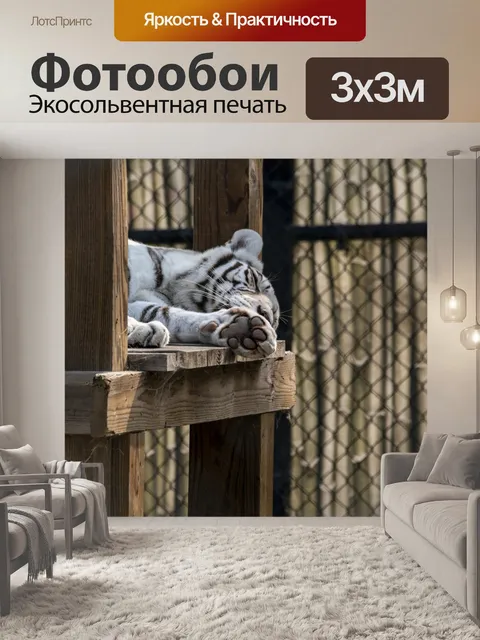 Фотообои белый тигр