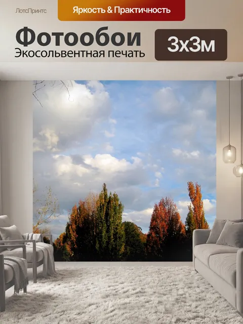 Фотообои Облачное небо и осенние деревья