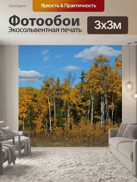 Фотообои Осенние краски