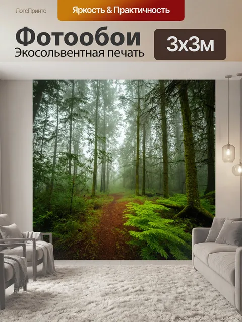 Фотообои лес с утром, окутанным туманом и свежестью