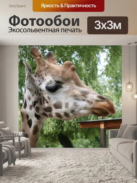 Фотообои Красивое животное