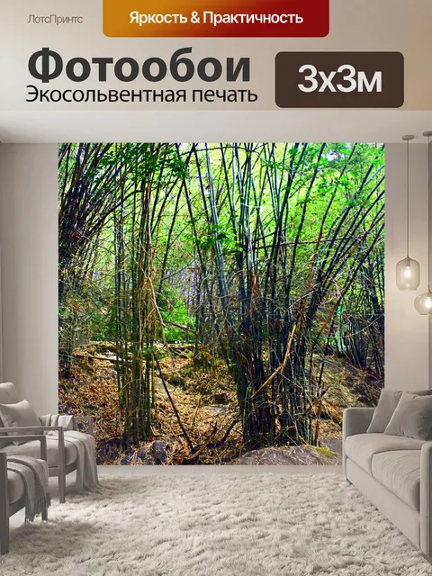 Фотообои В лесу таиланде