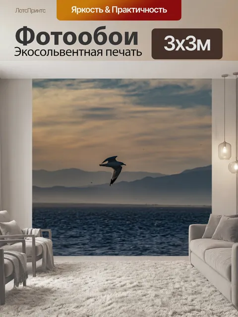 Фотообои Птица летит над Салтонским морем