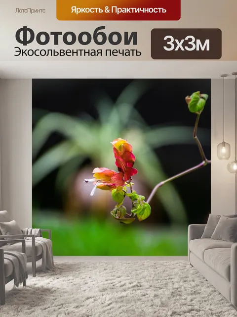 Фотообои Час земли
