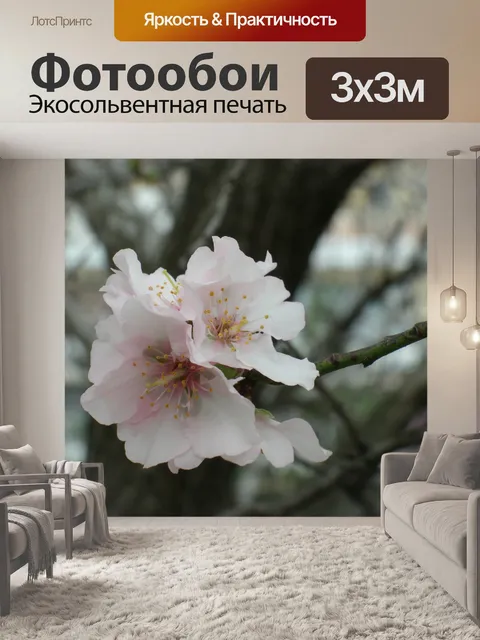 Фотообои Миндальное дерево цветок