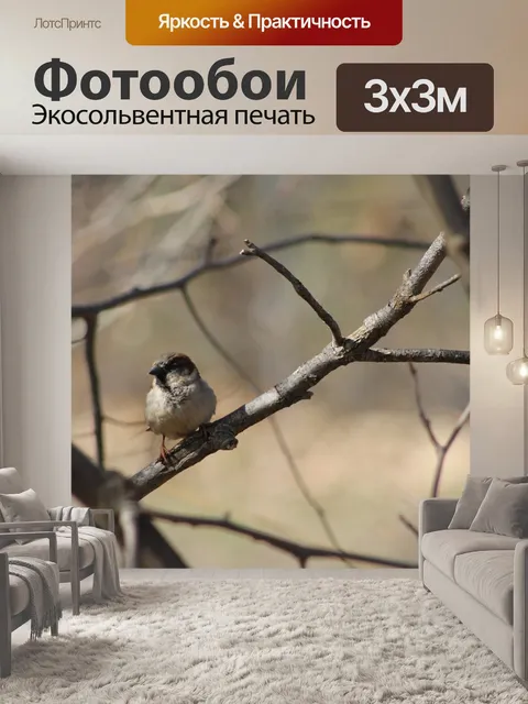 Фотообои Природа