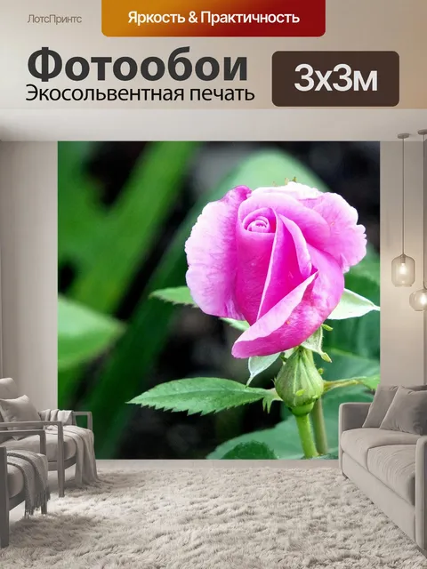 Фотообои Розовый