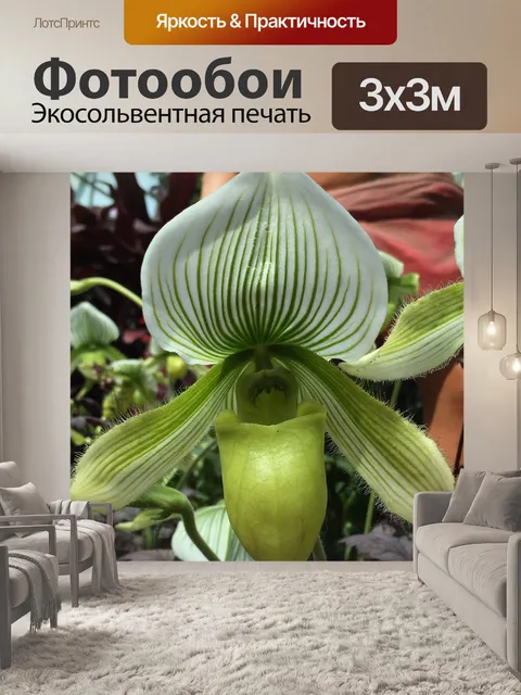 Фотообои Цветок