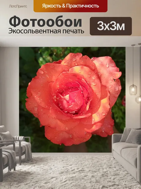 Фотообои Сад