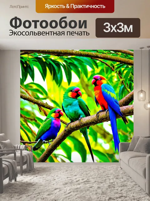 Фотообои зеленые в стиле раскраска, райские птицы на деревьях