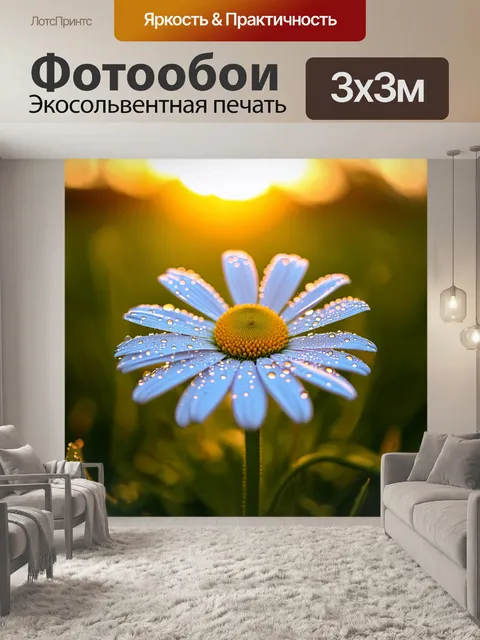 Фотообои с ромашкой, окружённой каплями росы утром, когда солнце только начинает всходить, создавая волшебные блики…