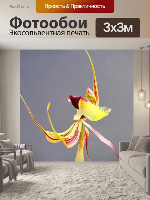 Фотообои Бабочки орхидеи