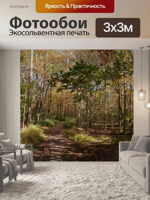 Фотообои Тащить