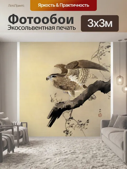 Фотообои Хищная птица искусство винт