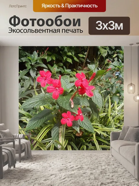 Фотообои Шри