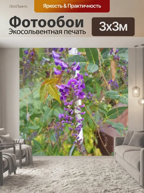 Фотообои Глициния фиолетовые цветы
