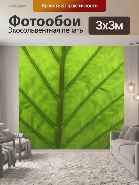 Фотообои Тропики