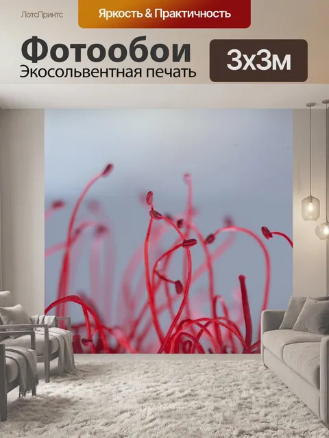 Фотообои Природа