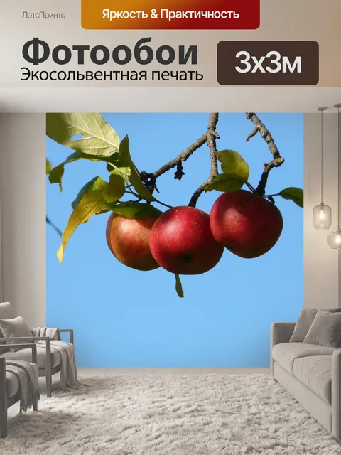 Фотообои Яблоко