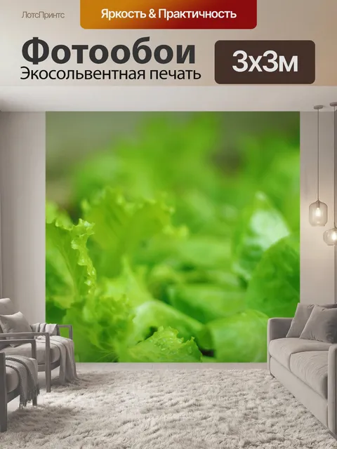 Фотообои Посадки салата