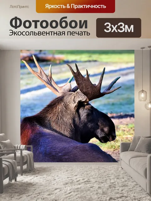 Фотообои Лось