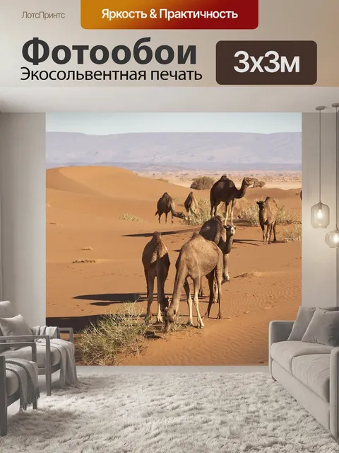 Фотообои Верблюд