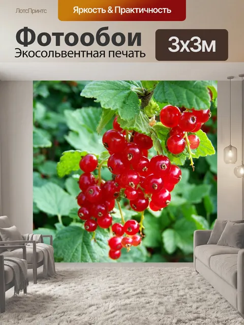 Фотообои Красная смородина