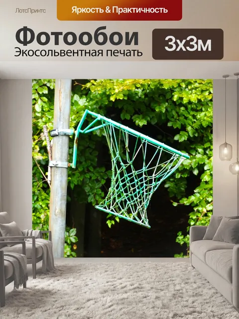 Фотообои Баскетбольное кольцо