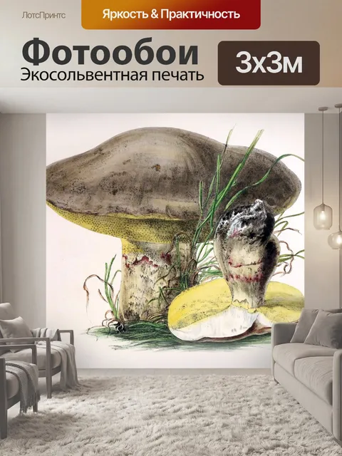 Фотообои Грибы винтаж арт старый