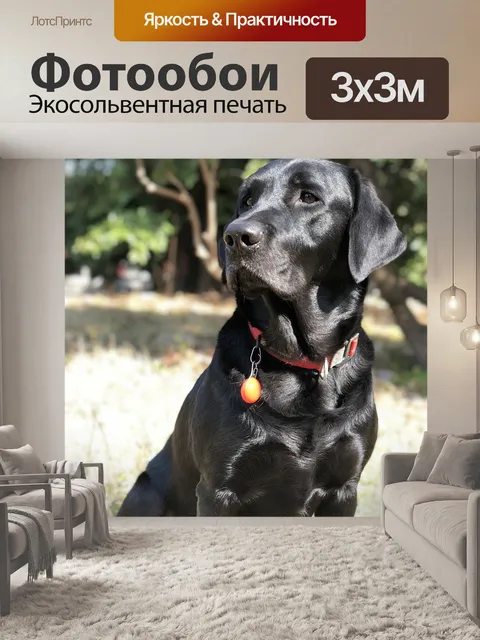 Фотообои Черный пес