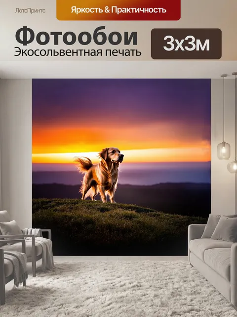 Фотообои величественный золотистый ретривер стоит на вершине холма, его грива развевается на ветру