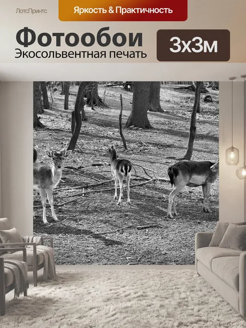 Фотообои Лес