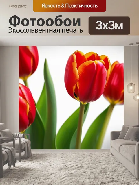 Фотообои красные тюльпаны на белом фоне