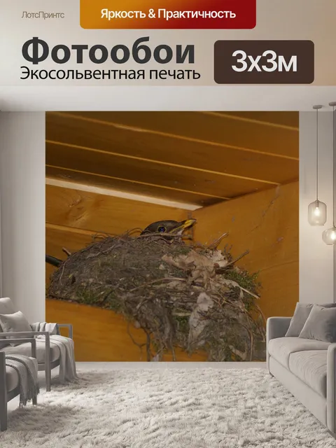 Фотообои Ласточкино гнездо