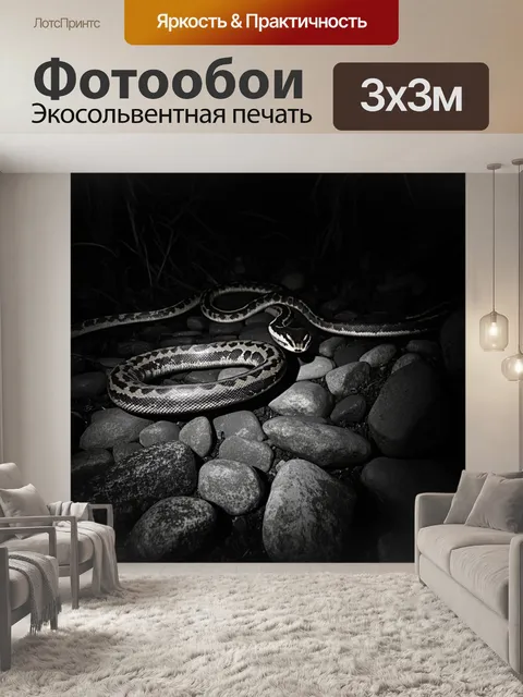 Фотообои глубокая ночь в тропическом лесу, где удав, свернувшийся в длинную линию, ползёт по тёмным камням