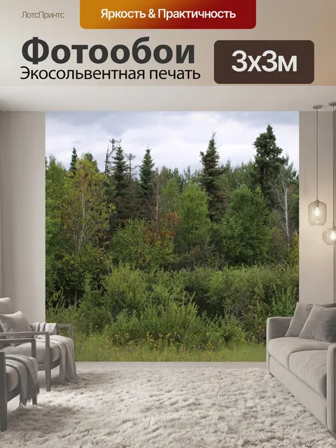 Фотообои Деревья Лес Буш