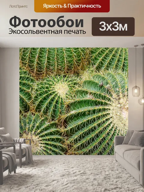 Фотообои Бочковой кактус