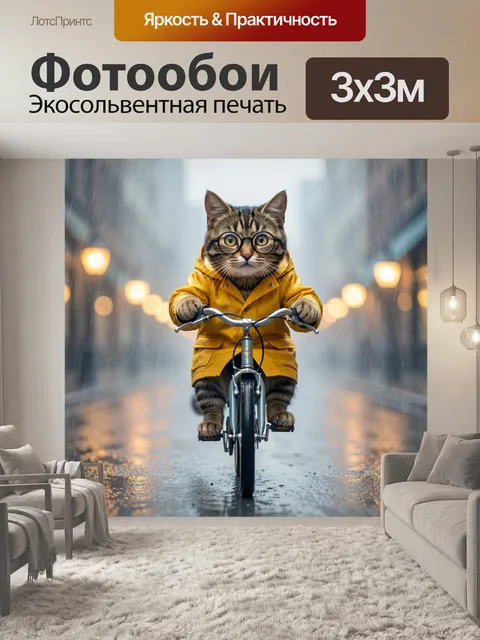 Фотообои Кот на велосипеде в дождь