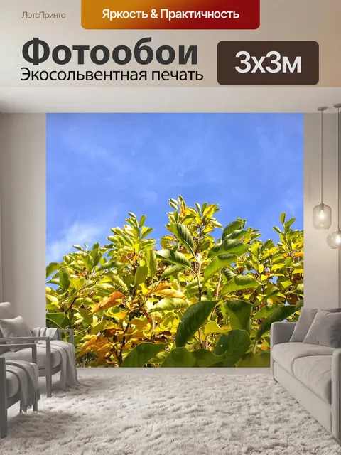 Фотообои Листья