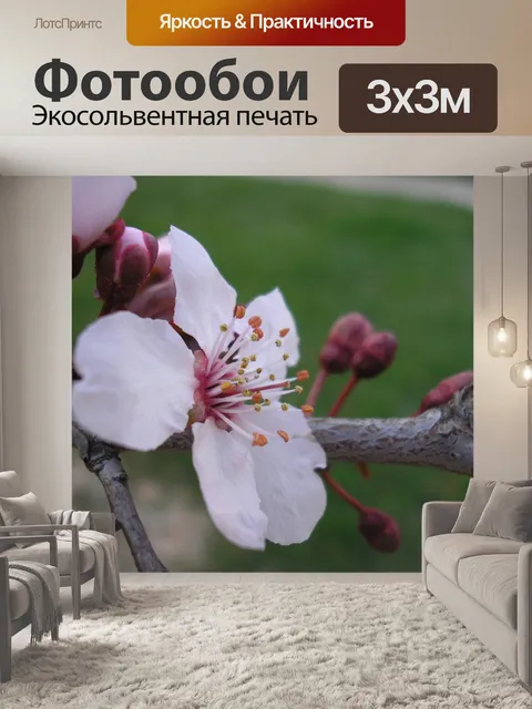 Фотообои Цветение сливы дерево