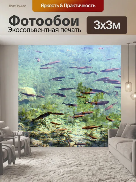 Фотообои Рыбы