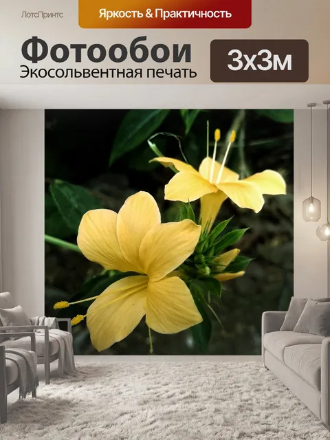 Фотообои Желтая