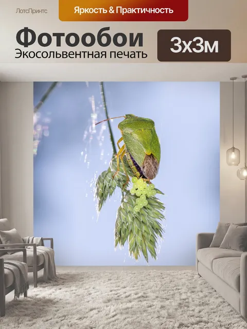 Фотообои Зеленый вонючий жук