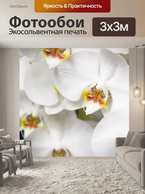 Фотообои Белая орхидея