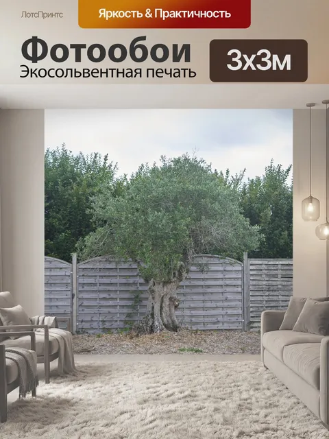 Фотообои Оливковое дерево