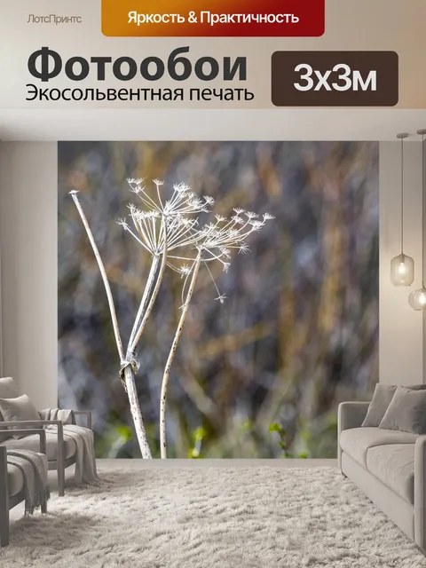 Фотообои кружево королевы анны